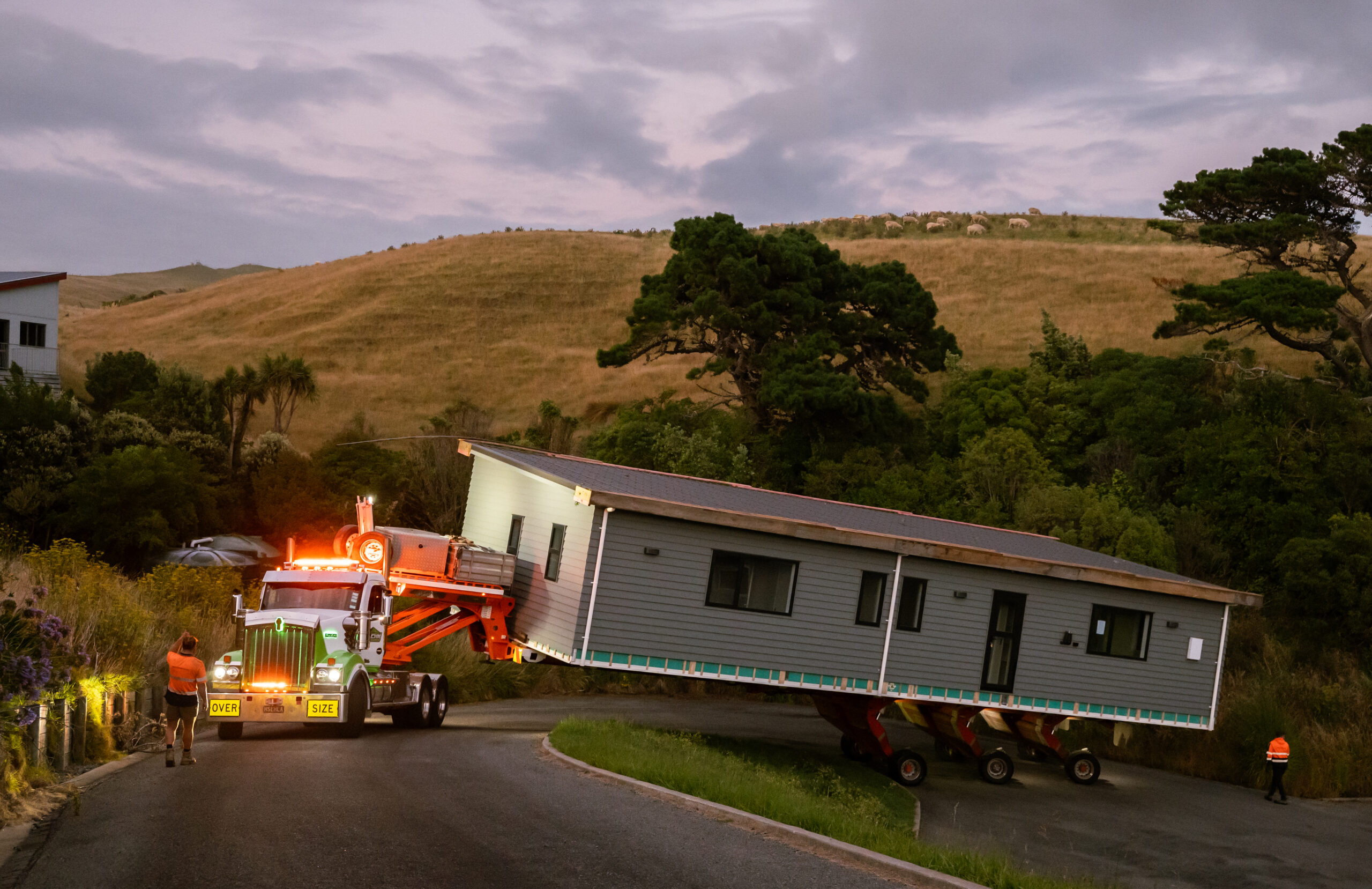 260126PDH Castlepoint PDBP6948